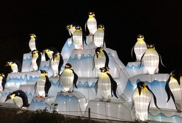 Penguen Lanterns