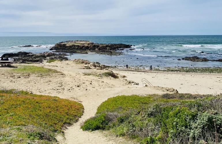 Pescadero State Beach, California