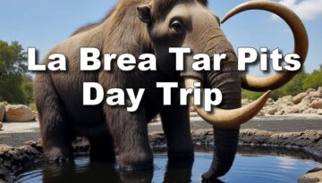 La Brea Tar Pits Day Trip