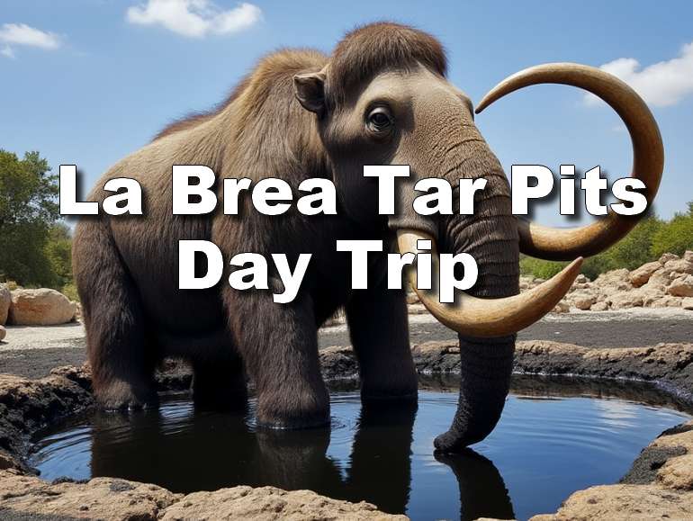 La Brea Tar Pits Day Trip