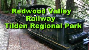 Redwood Valley Steam