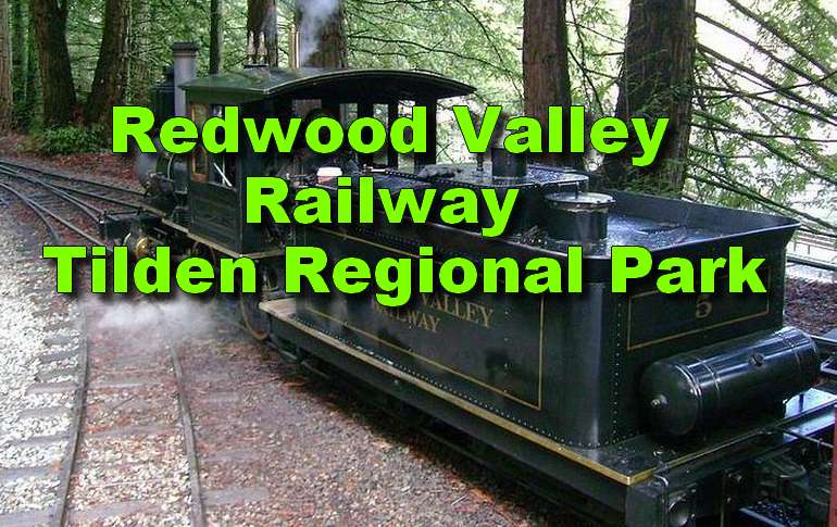 Redwood Valley Steam