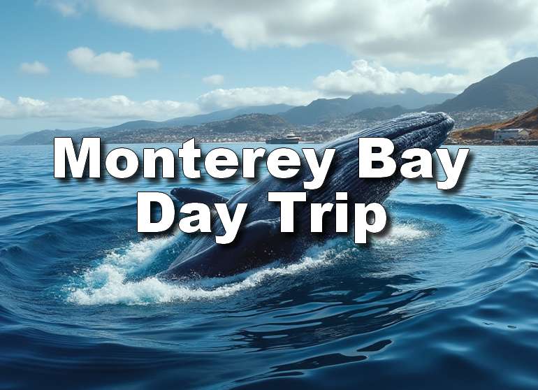 Monterey Bay Day Trip