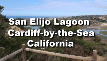 Day Trip: San Elijo Lagoon Reserve Cardiff-by-the-Sea, California