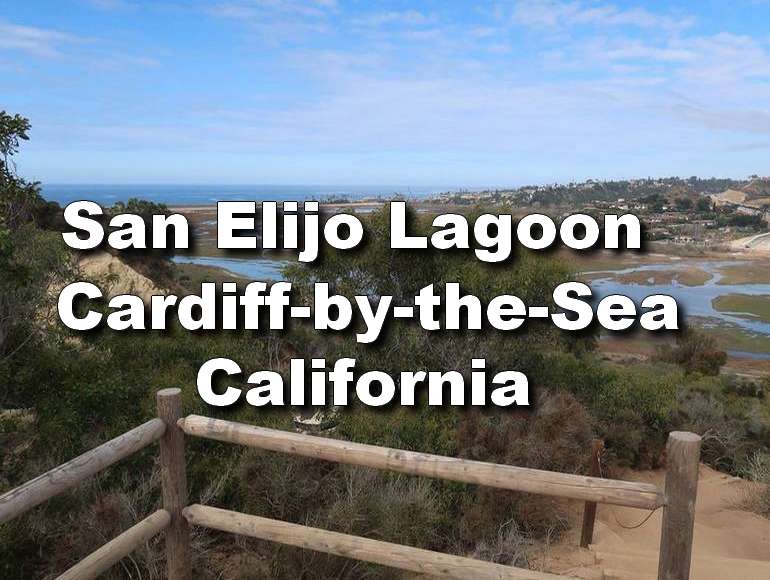 Day Trip: San Elijo Lagoon Reserve Cardiff-by-the-Sea, California