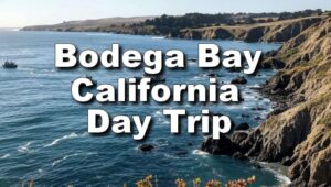 Bodega Bay California Day Trip