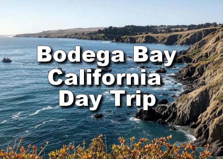 Bodega Bay California Day Trip