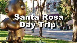 Santa Rosa California Day Trip