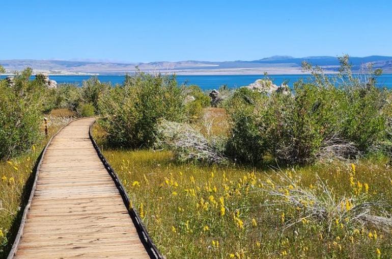 Hiking Trail