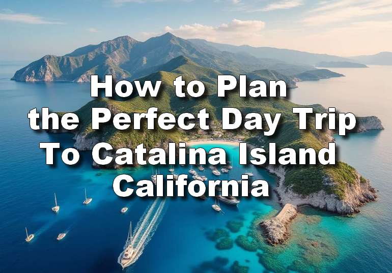 Catalina Island Day Trip