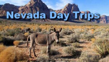 Nevada Day Trips