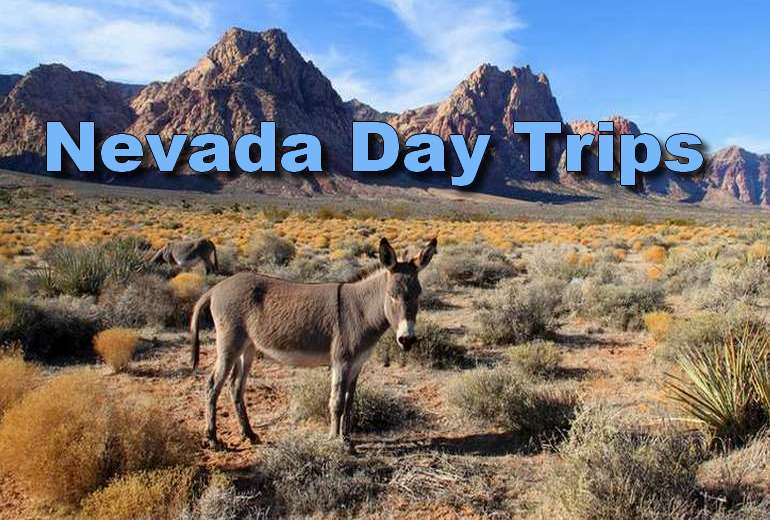 Nevada Day Trips