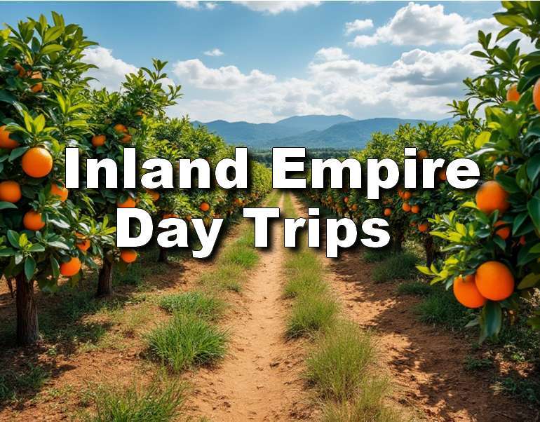 Inland Empire Day Trips